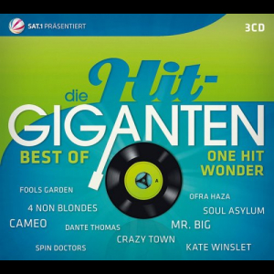 Die Hit Giganten: Best Of One Hit Wonder