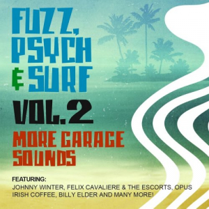 Fuzz, Psych And Surf, Vol. 2: More Garage Sounds