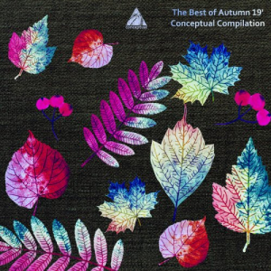 The Best of Autumn 19 Conceptual Compilation