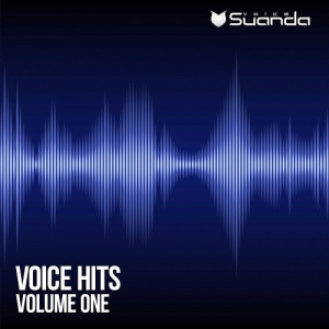 Voice Hits Vol. 1