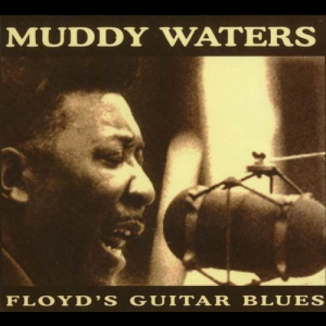 Floyds Guitar Blues