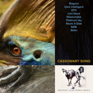 Cassowary Song