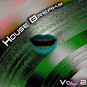 House Breaks Vol.2
