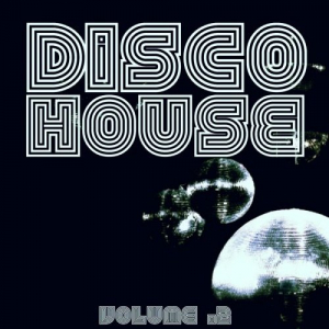 Disco House Vol.2