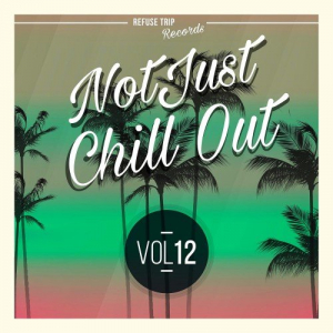Not Just Chill Out Vol. 12