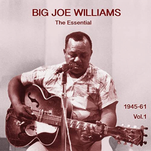 The Essential Big Joe Williams (1945-1961), Vol. 1