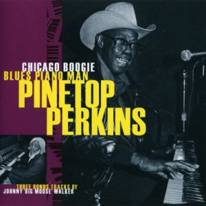 Chicago Boogie Blues Piano Man