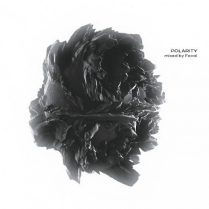 Polarity (Mixed by Focal)