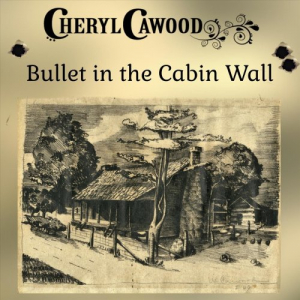 Bullet in the Cabin Wall