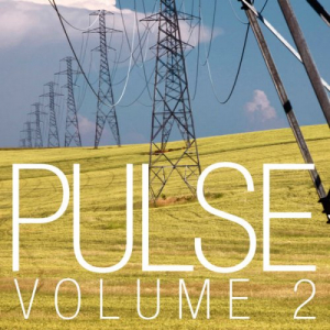 Pulse, Vol. 2