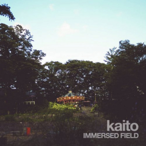 IMMERSED FIELD