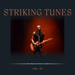 Striking Tunes Vol 7