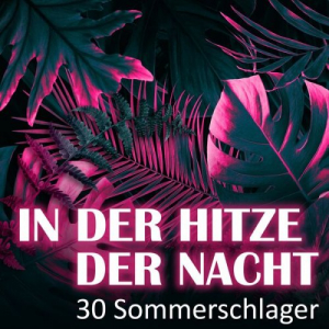 In der Hitze der Nacht - 30 Sommerschlager