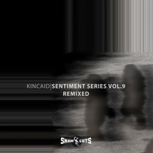 Sentiment Series Vol.9 â€“ Remixed