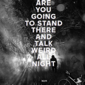 Are You Going to Stand There and Talk Weird All Night? (2013)