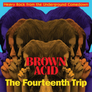Brown Acid: The Fourteenth Trip (Heavy Rock From The Underground Comedown)