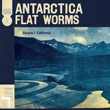 Flat Worms - Antarctica '2020