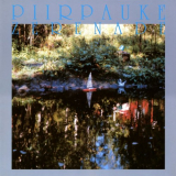 Piirpauke - Zerenade '1989; 2020