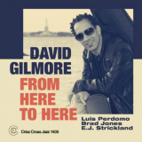 David Gilmore - From Here to Here '2020