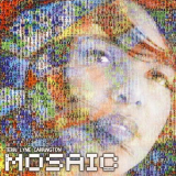 Terri Lyne Carrington - The Mosaic Project '2011