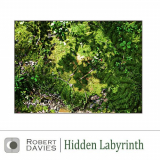 Robert Davies - Hidden Labyrinth '2020
