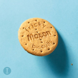 Mason - Frisky Biscuits '2020
