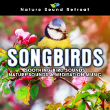 Nature Sound Retreat - Songbirds: Soothing Bird Sounds - Nature Sounds & Meditation Music '2020
