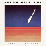 Devon Williams - A Tear in the Fabric '2020