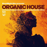 Black Mighty Wax - Organic House (Chill House, Downtempo, Smooth Grooves From The Deep Mind of Irma) '2020