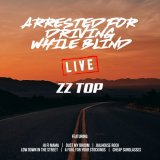 ZZ Top - Arrested For Driving While Blind '2019