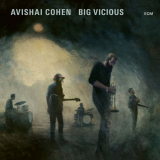 Avishai Cohen - Big Vicious '2020