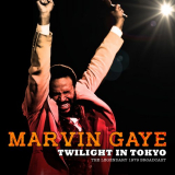 Marvin Gaye - Twilight in Tokyo (Live) '2020
