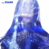 Jane Zhang - Past Progressive '2019