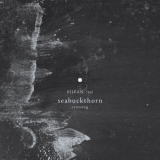 Seabuckthorn - Crossing '2019