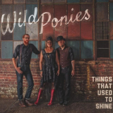 Wild Ponies - Things That Used to Shine '2013