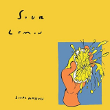 Local Natives - Sour Lemon '2020