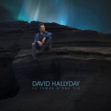David Hallyday - Le Temps Dune Vie '2016