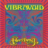 Vibravoid - Burg Herzberg Festival '2010