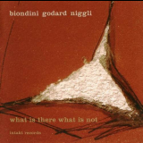 Luciano Biondini - What Is There What Is Not '2011