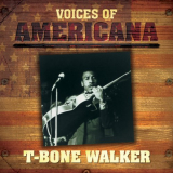 T-Bone Walker - Voices Of Americana: T-Bone Walker '2009