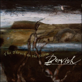 Dervish - The Thrush In The Storm '2013