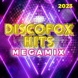 Various Artists - Discofox Hits Megamix 2023 '2022