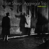 Elliott Sharp - Aggregat Trio: Variance '2022