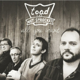 Toad the Wet Sprocket - All You Want '2011