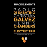 Paolo Di Sabatino - Trace Elements: Electric Trip (Live in Teramo Again) '2016