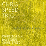 Chris Speed Trio - Despite Obstacles '2023