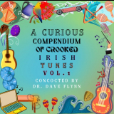 Dave Flynn - A Curious Compendium of Crooked Irish Tunes (VOL. 1) '2023