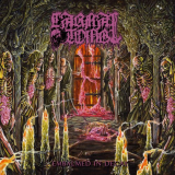 Carnal Tomb - Embalmed in Decay '2023