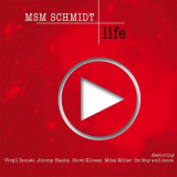 MSM Schmidt - Life '2017