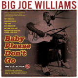 Big Joe Williams - Baby Please Don't Go: The Collection 1935-62 '2024